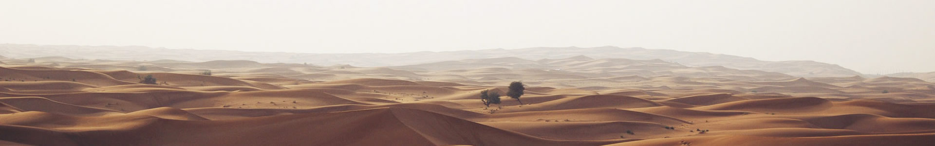 Դݽҵ԰޹˾
